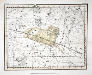 The Constellations (Plate XIII) Aries and Musca Borealis, from 